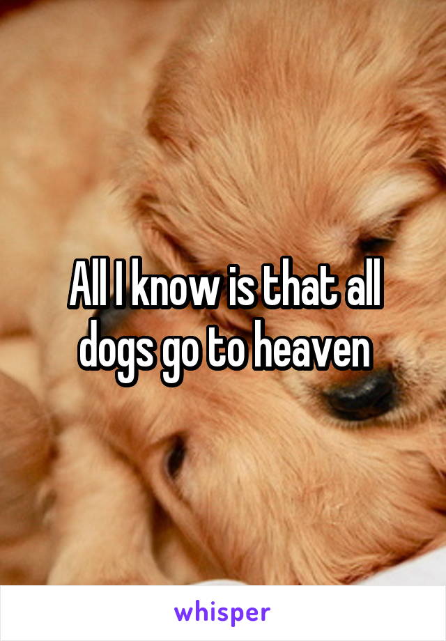 All I know is that all dogs go to heaven