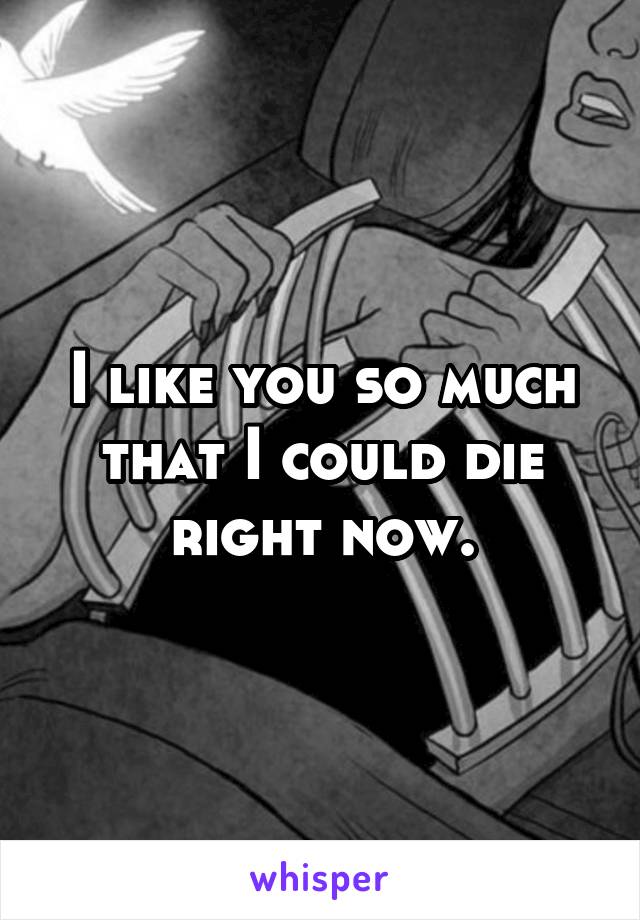 I like you so much that I could die right now.