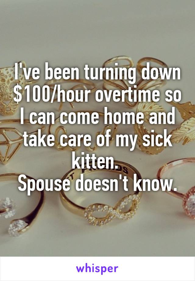 I've been turning down $100/hour overtime so I can come home and take care of my sick kitten. 
Spouse doesn't know. 