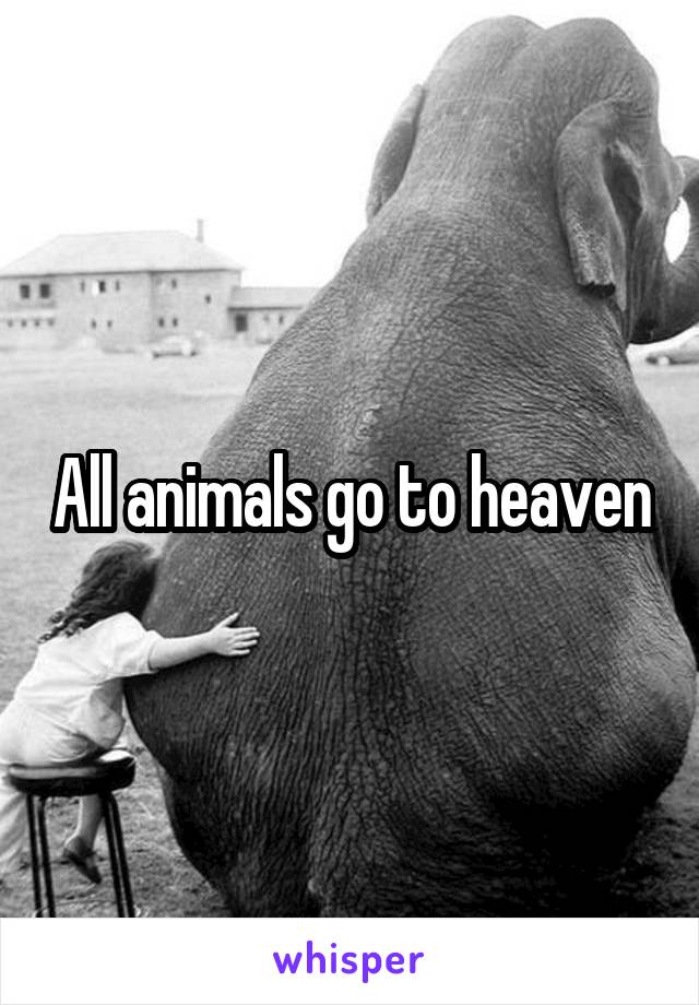 All animals go to heaven