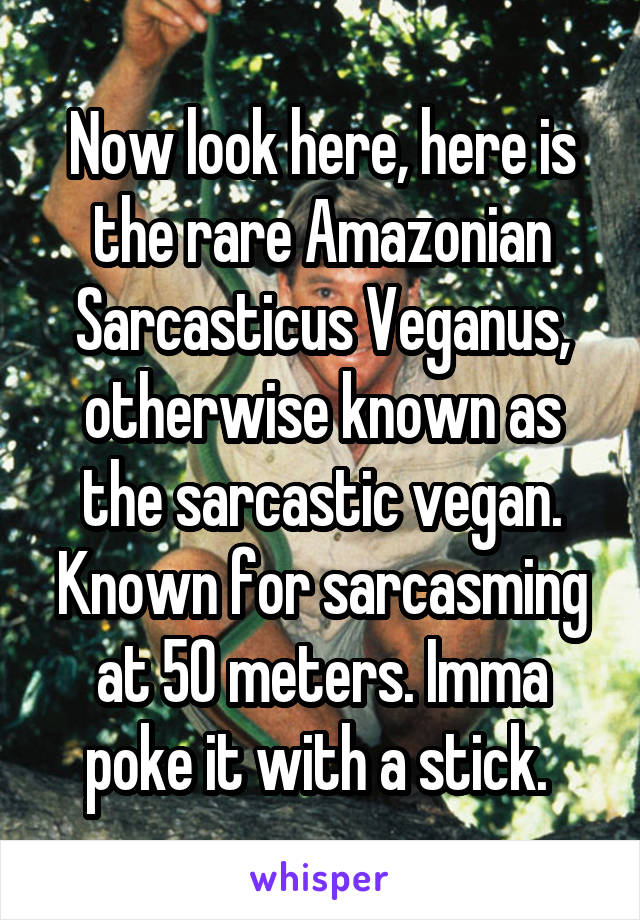 Now look here, here is the rare Amazonian Sarcasticus Veganus, otherwise known as the sarcastic vegan. Known for sarcasming at 50 meters. Imma poke it with a stick. 