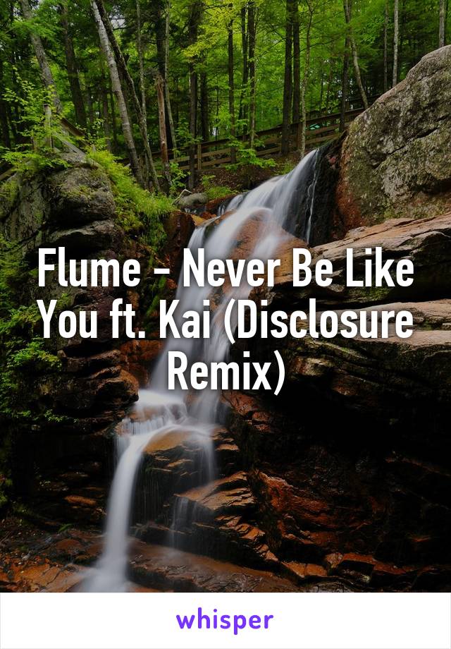 Flume - Never Be Like You ft. Kai (Disclosure Remix)