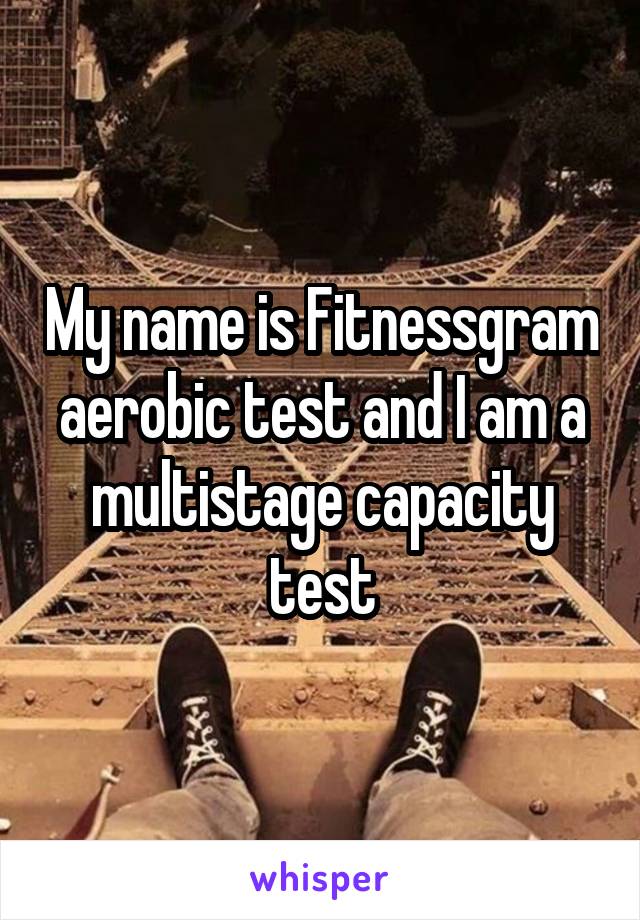 My name is Fitnessgram aerobic test and I am a multistage capacity test