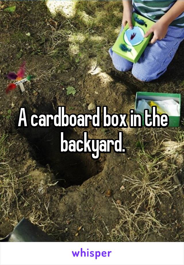 A cardboard box in the backyard.