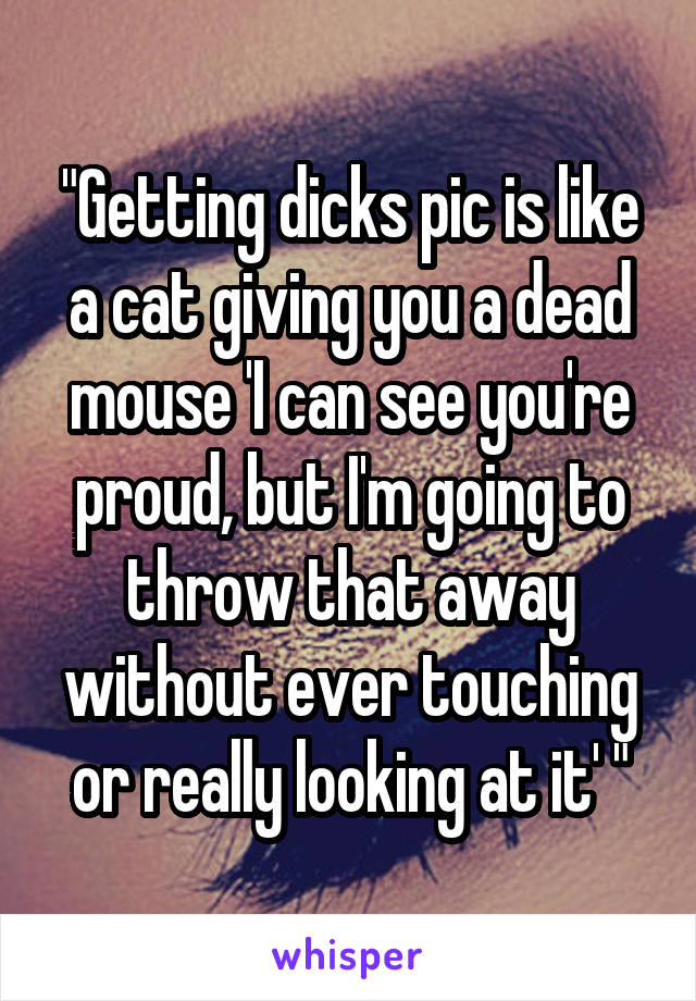 "Getting dicks pic is like a cat giving you a dead mouse 'I can see you're proud, but I'm going to throw that away without ever touching or really looking at it' "