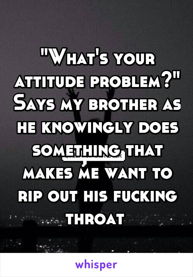 "What's your attitude problem?" Says my brother as he knowingly does something that makes me want to rip out his fucking throat 