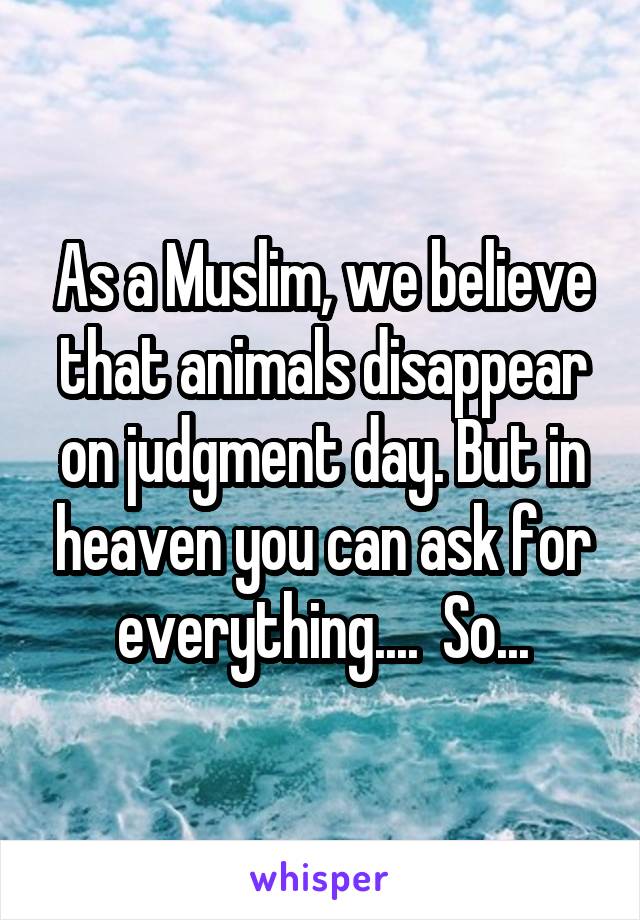 As a Muslim, we believe that animals disappear on judgment day. But in heaven you can ask for everything....  So...