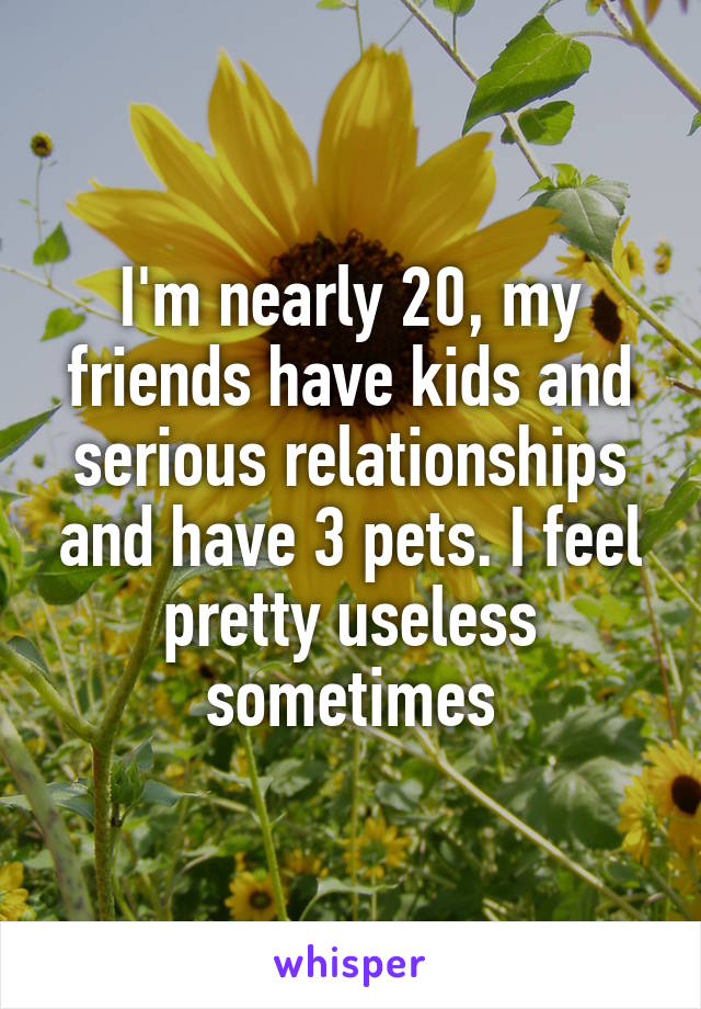 I'm nearly 20, my friends have kids and serious relationships and have 3 pets. I feel pretty useless sometimes