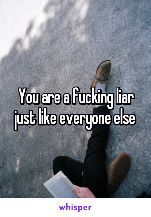 You are a fucking liar just like everyone else 