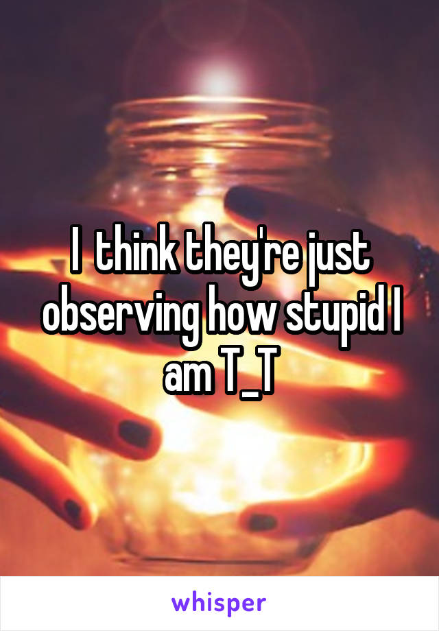 I  think they're just observing how stupid I am T_T