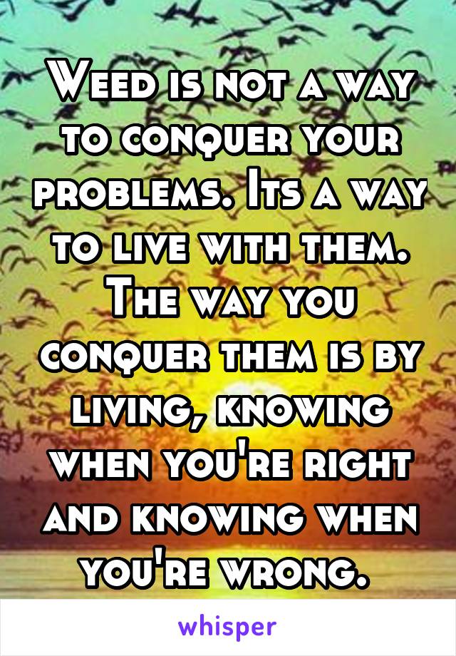 Weed is not a way to conquer your problems. Its a way to live with them. The way you conquer them is by living, knowing when you're right and knowing when you're wrong. 