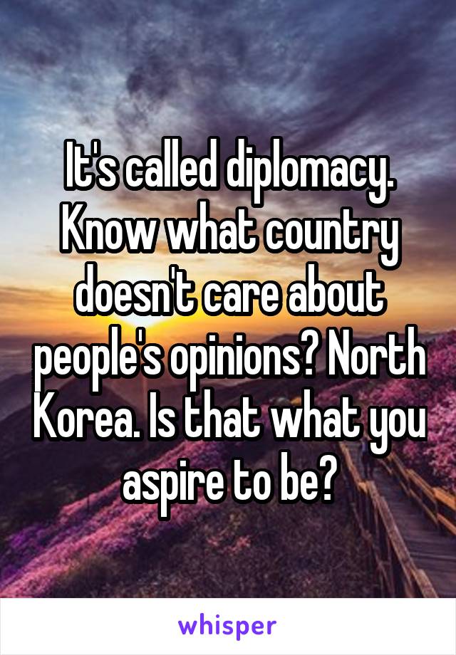 It's called diplomacy. Know what country doesn't care about people's opinions? North Korea. Is that what you aspire to be?