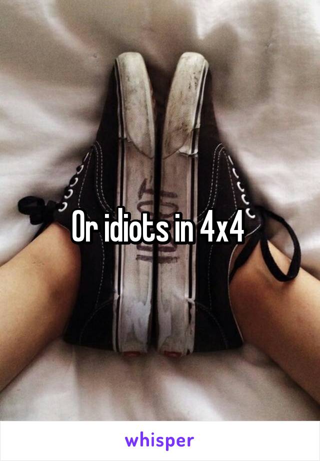 Or idiots in 4x4 