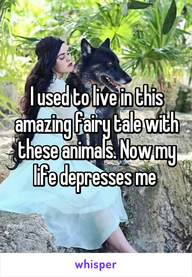 I used to live in this amazing fairy tale with these animals. Now my life depresses me 