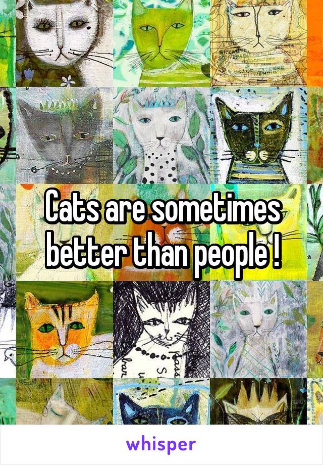 Cats are sometimes better than people !