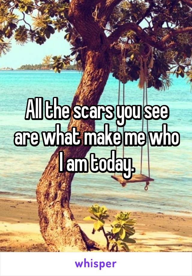 All the scars you see are what make me who I am today.