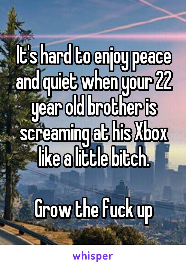 It's hard to enjoy peace and quiet when your 22 year old brother is screaming at his Xbox like a little bitch.

Grow the fuck up