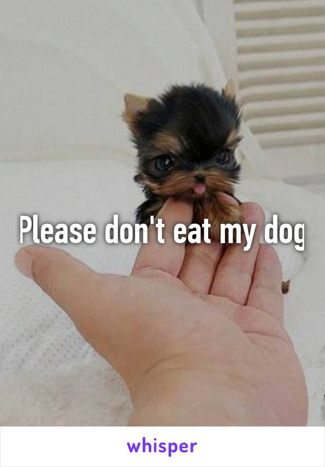 Please don't eat my dog