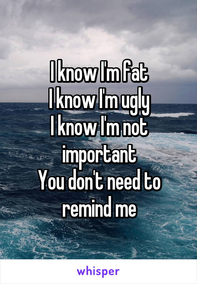 I know I'm fat
I know I'm ugly
I know I'm not important
You don't need to remind me