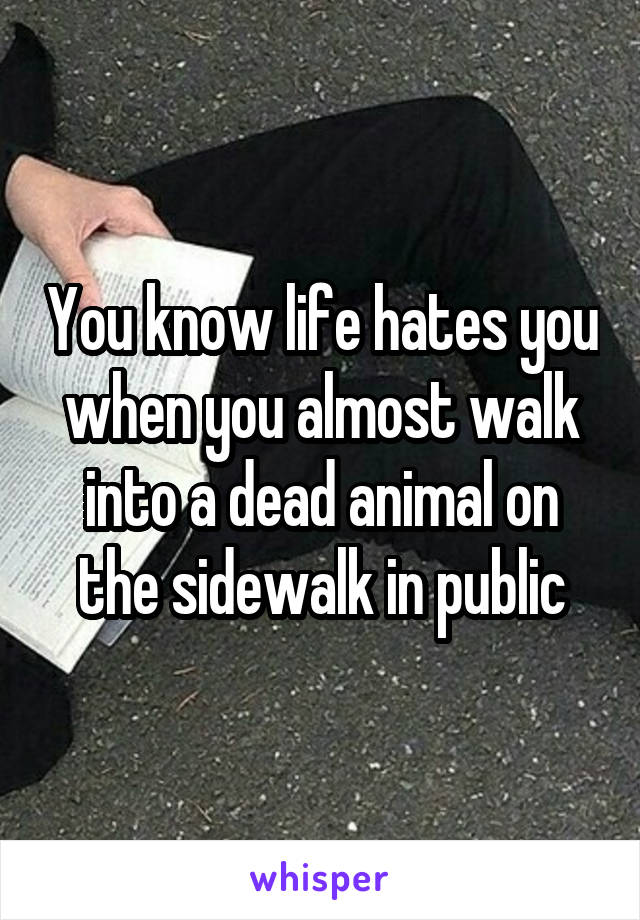 You know life hates you when you almost walk into a dead animal on the sidewalk in public