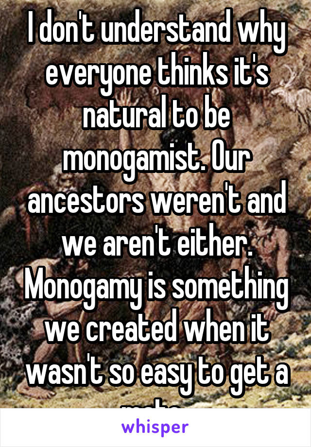 I don't understand why everyone thinks it's natural to be monogamist. Our ancestors weren't and we aren't either. Monogamy is something we created when it wasn't so easy to get a mate. 