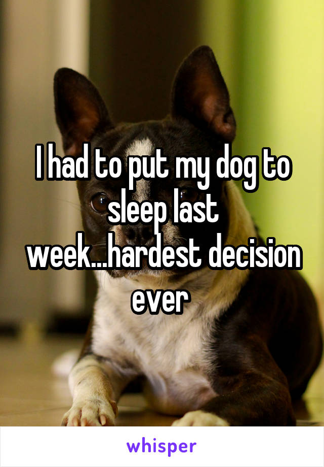 I had to put my dog to sleep last week...hardest decision ever 