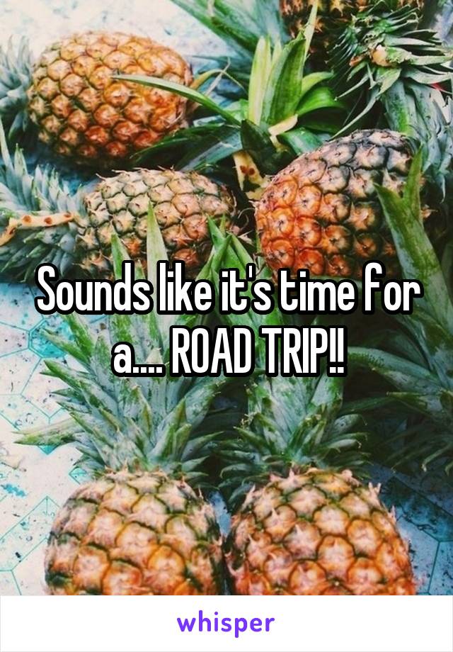 Sounds like it's time for a.... ROAD TRIP!!