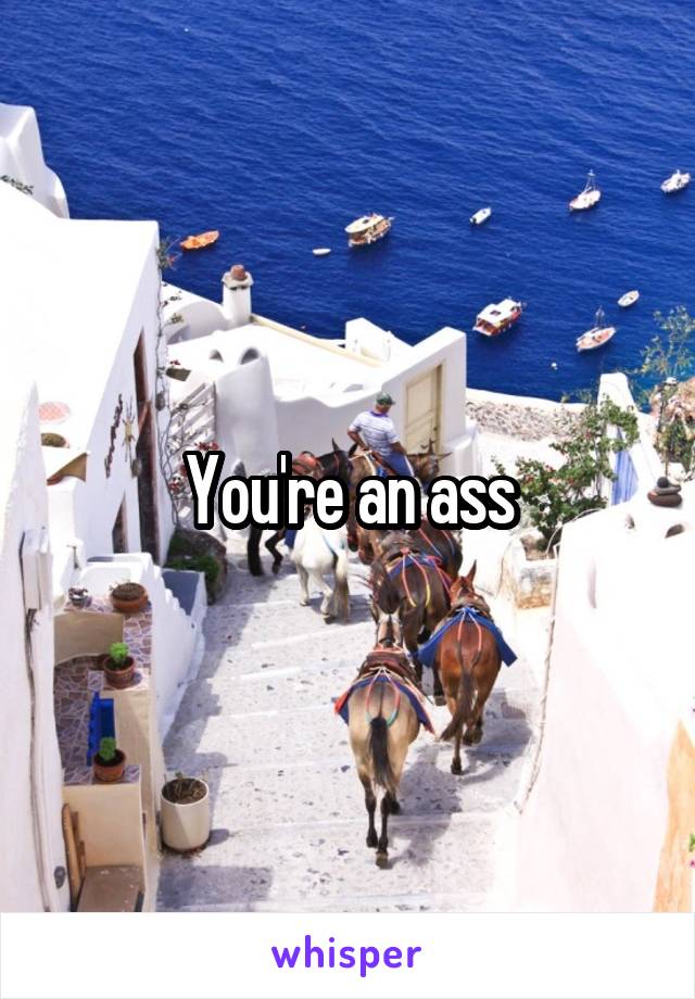 You're an ass