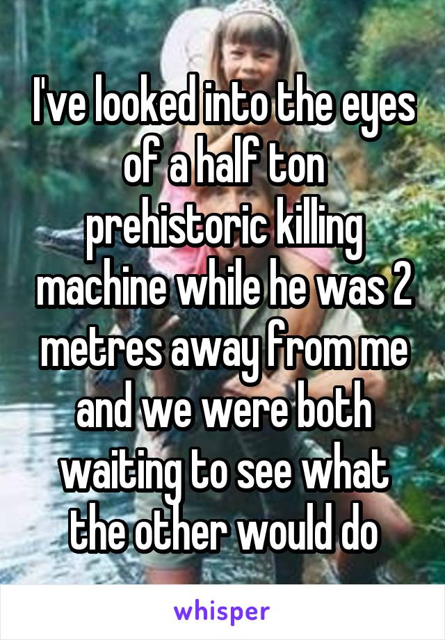 I've looked into the eyes of a half ton prehistoric killing machine while he was 2 metres away from me and we were both waiting to see what the other would do