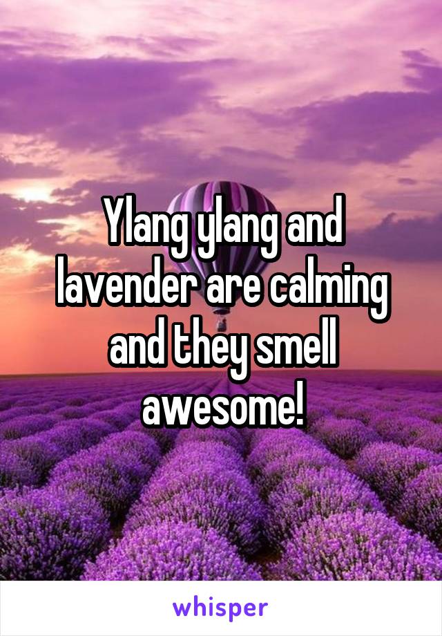 Ylang ylang and lavender are calming and they smell awesome!