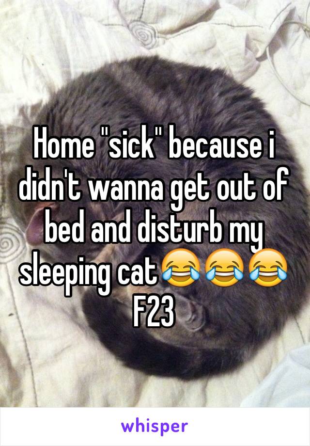 Home "sick" because i didn't wanna get out of bed and disturb my sleeping cat😂😂😂
F23