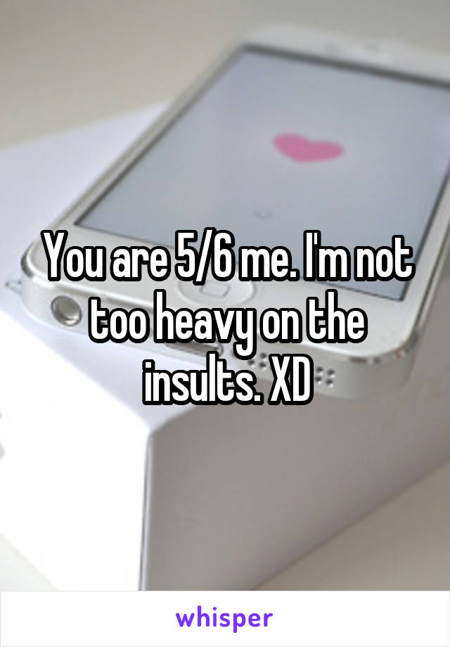 You are 5/6 me. I'm not too heavy on the insults. XD