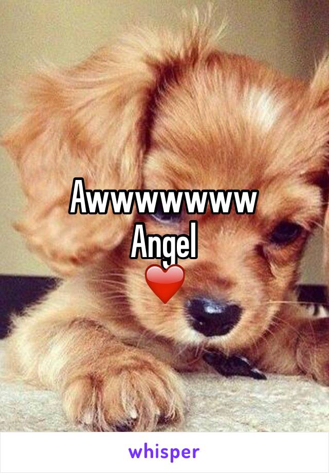 Awwwwwww
Angel
❤️