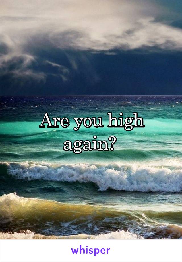 Are you high again? 