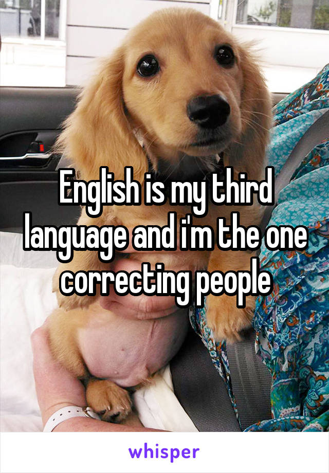 English is my third language and i'm the one correcting people