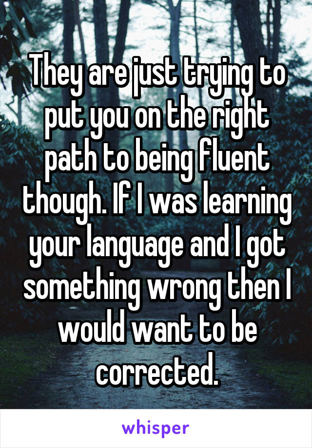 They are just trying to put you on the right path to being fluent though. If I was learning your language and I got something wrong then I would want to be corrected.