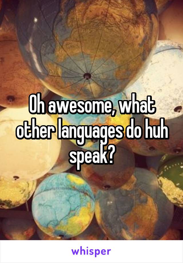 Oh awesome, what other languages do huh speak?