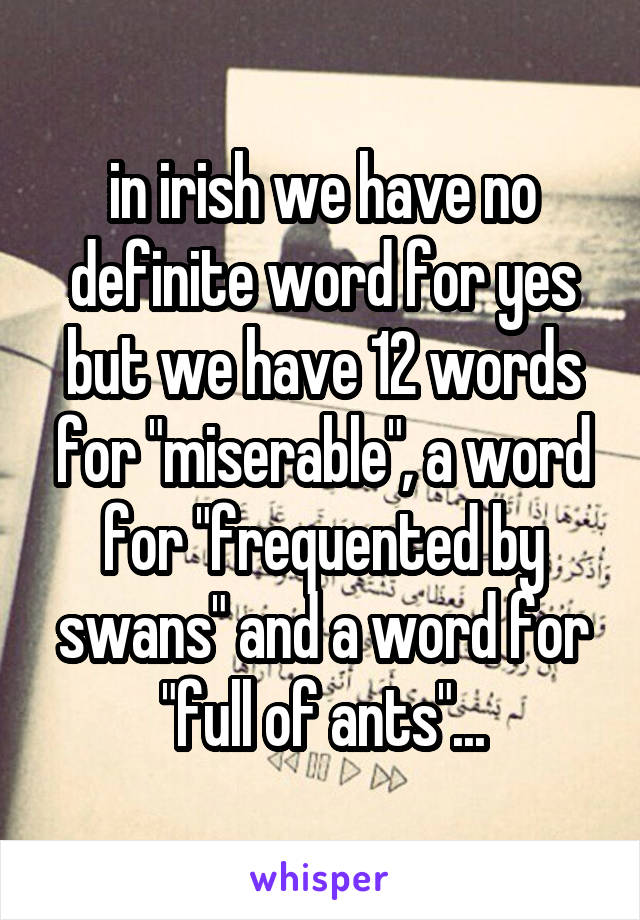 in irish we have no definite word for yes but we have 12 words for "miserable", a word for "frequented by swans" and a word for "full of ants"...