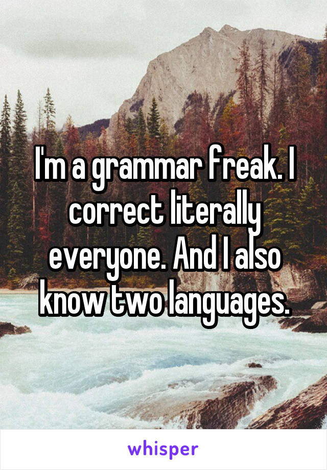 I'm a grammar freak. I correct literally everyone. And I also know two languages.