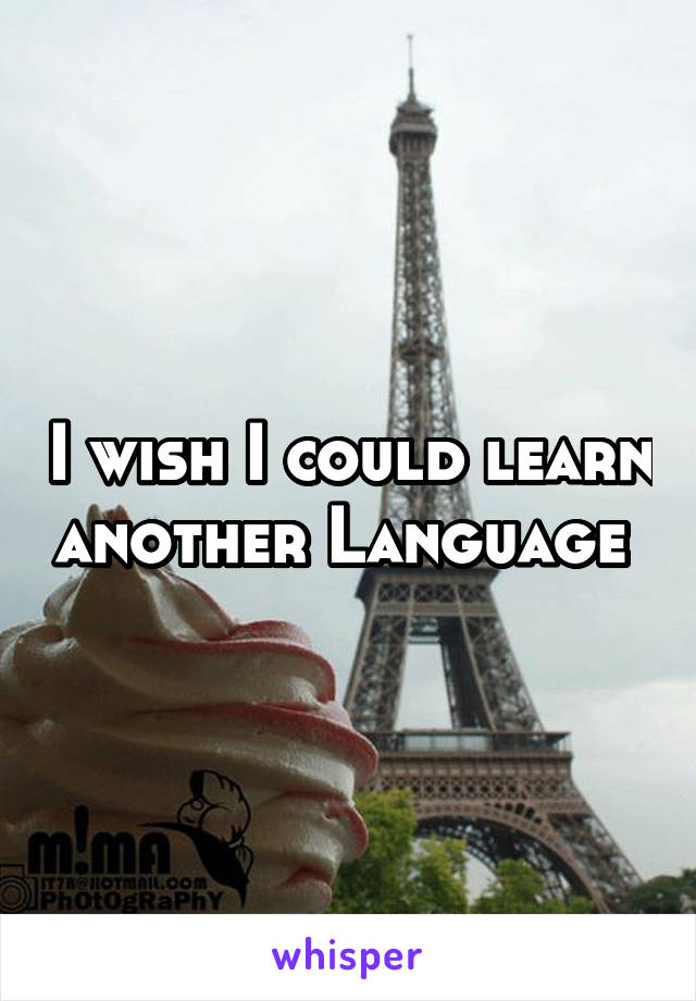 I wish I could learn another Language 