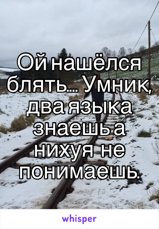 Ой нашёлся блять.... Умник, два языка знаешь а нихуя  не понимаешь.