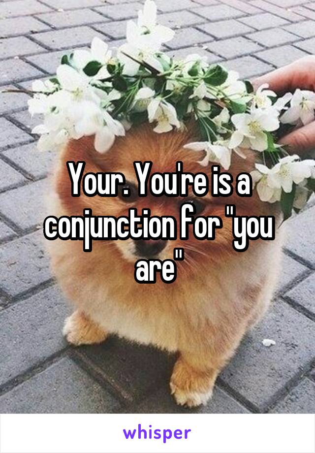 Your. You're is a conjunction for "you are"