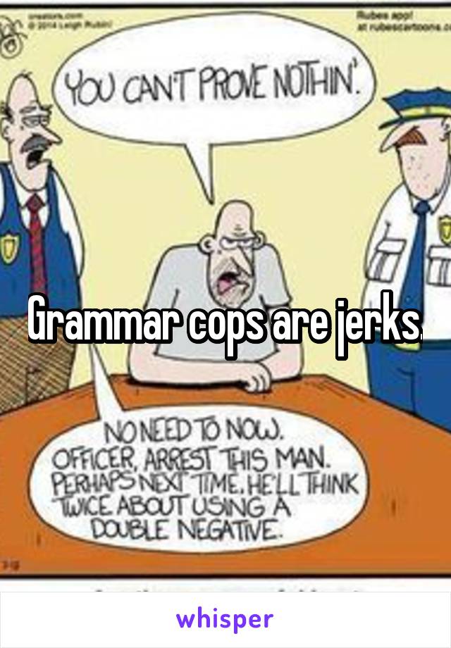 Grammar cops are jerks.