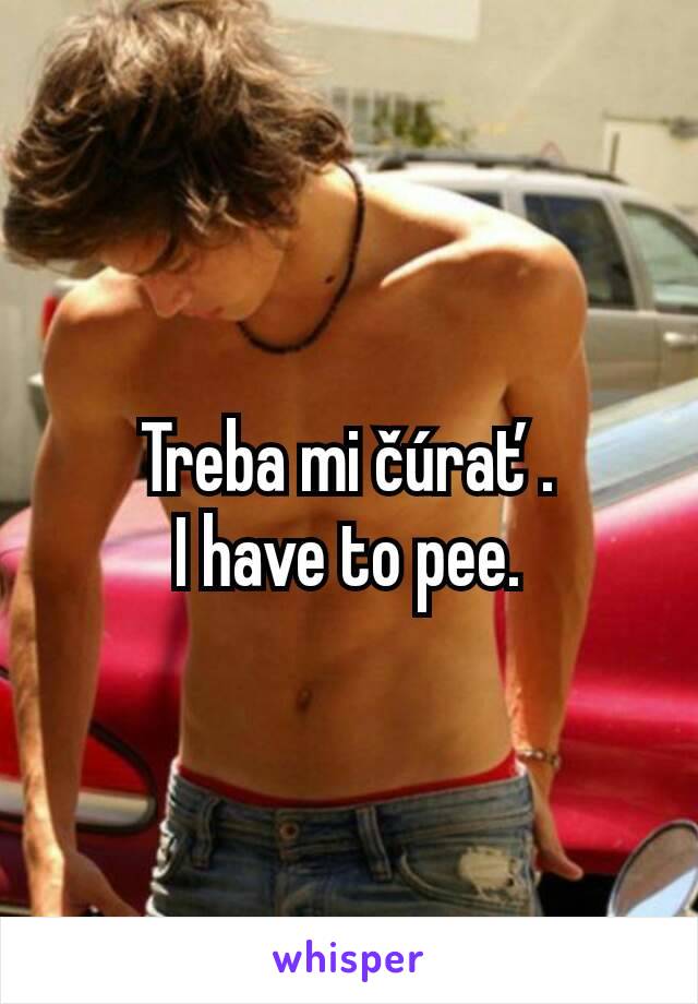 Treba mi čúrať.
I have to pee.