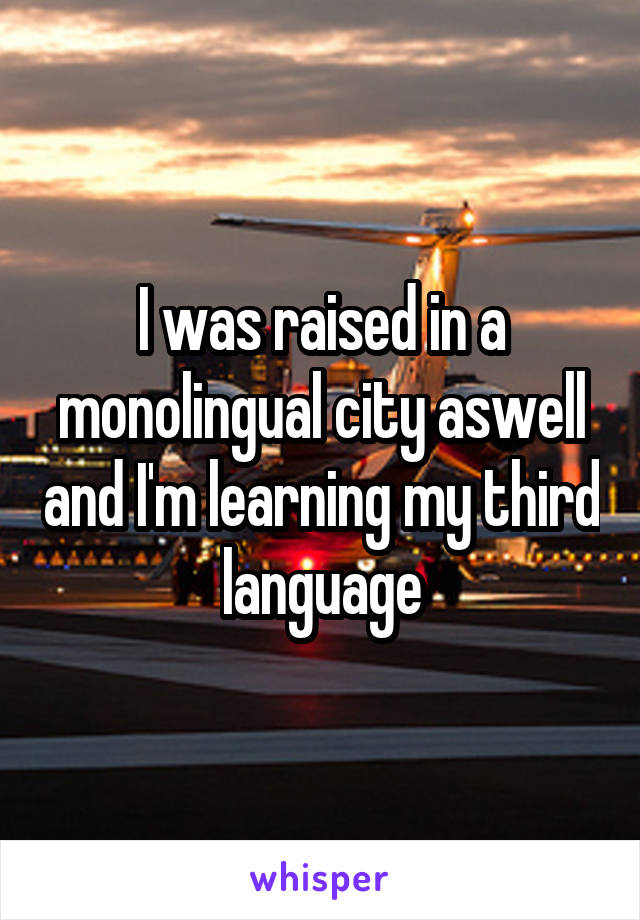 I was raised in a monolingual city aswell and I'm learning my third language