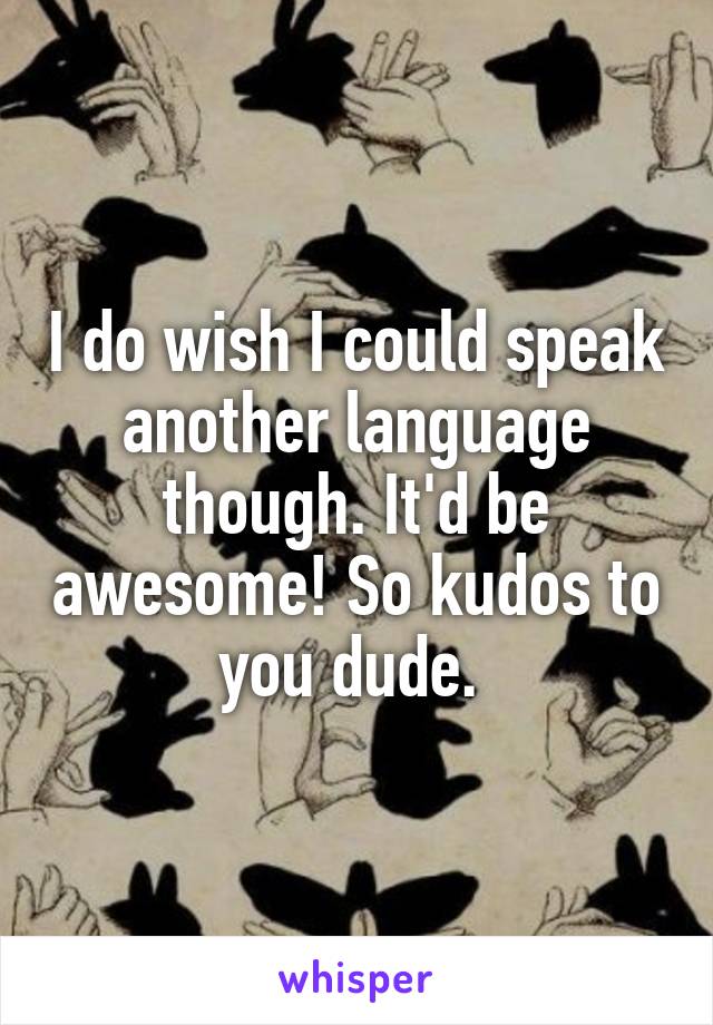 I do wish I could speak another language though. It'd be awesome! So kudos to you dude. 