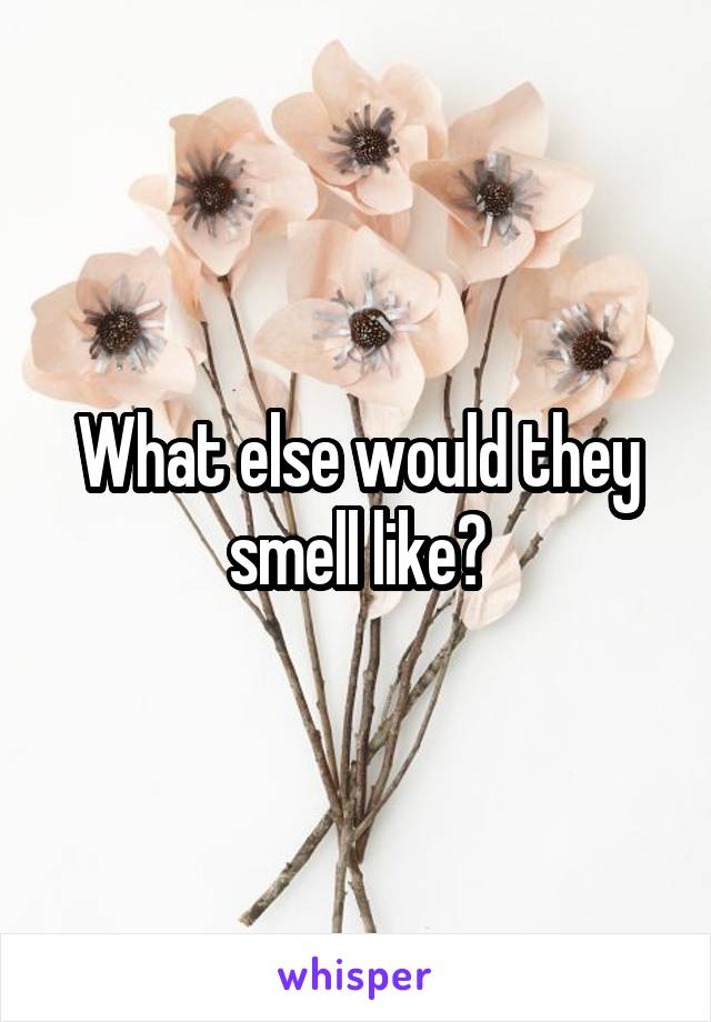 What else would they smell like?