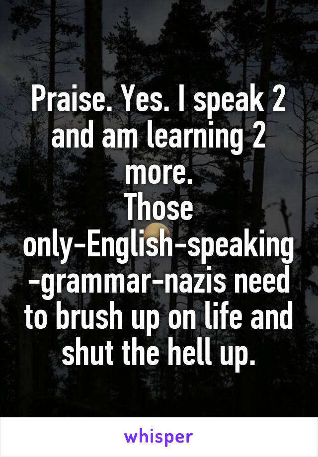 Praise. Yes. I speak 2 and am learning 2 more.
Those only-English-speaking-grammar-nazis need to brush up on life and shut the hell up.