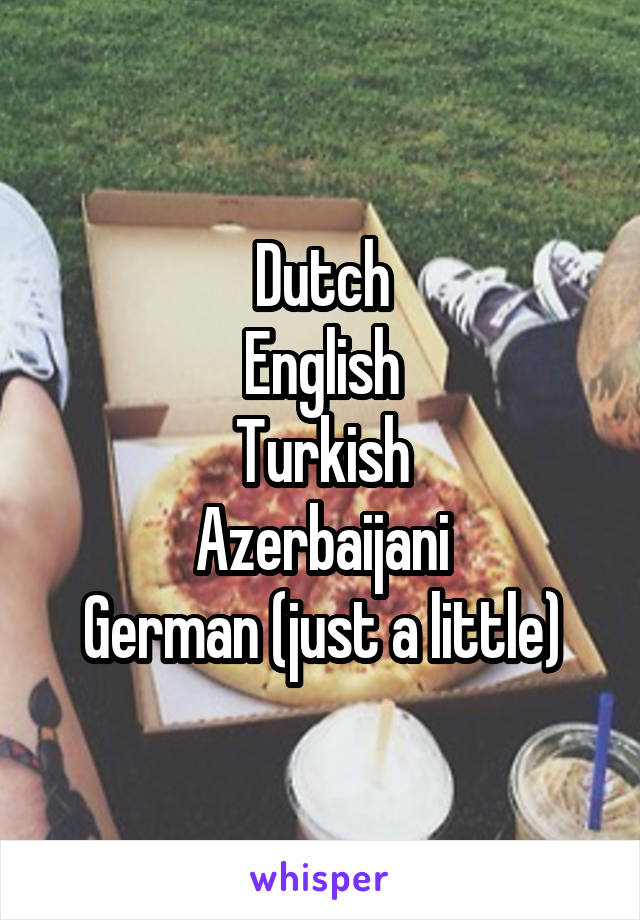 Dutch
English
Turkish
Azerbaijani
German (just a little)