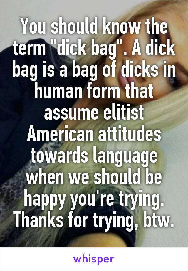 You should know the term "dick bag". A dick bag is a bag of dicks in human form that assume elitist American attitudes towards language when we should be happy you're trying. Thanks for trying, btw. 